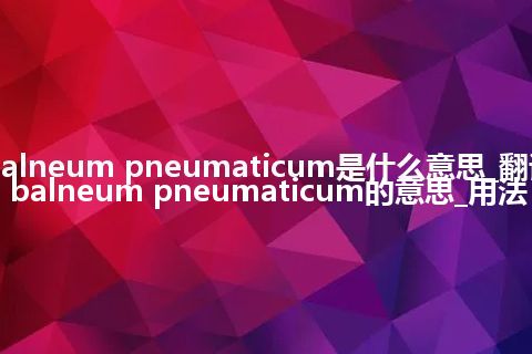 balneum pneumaticum是什么意思_翻译balneum pneumaticum的意思_用法