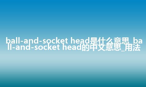 ball-and-socket head是什么意思_ball-and-socket head的中文意思_用法