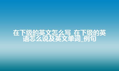 在下级的英文怎么写_在下级的英语怎么说及英文单词_例句