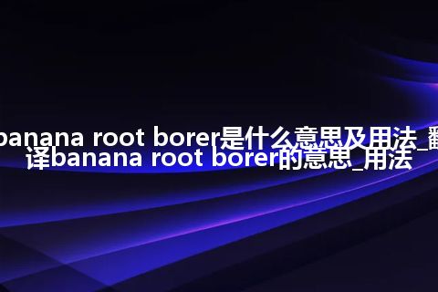 banana root borer是什么意思及用法_翻译banana root borer的意思_用法