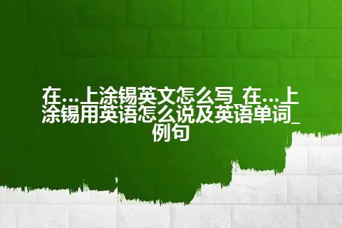 在…上涂锡英文怎么写_在…上涂锡用英语怎么说及英语单词_例句