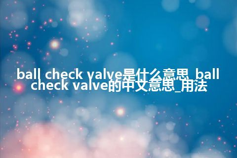 ball check valve是什么意思_ball check valve的中文意思_用法