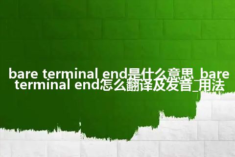 bare terminal end是什么意思_bare terminal end怎么翻译及发音_用法