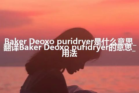 Baker Deoxo puridryer是什么意思_翻译Baker Deoxo puridryer的意思_用法