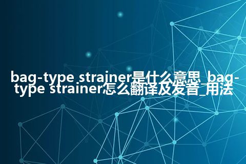 bag-type strainer是什么意思_bag-type strainer怎么翻译及发音_用法