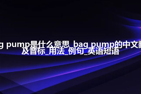 bag pump是什么意思_bag pump的中文翻译及音标_用法_例句_英语短语