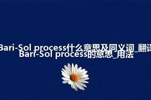 Bari-Sol process什么意思及同义词_翻译Bari-Sol process的意思_用法