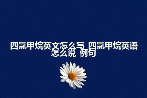 四氯甲烷英文怎么写_四氯甲烷英语怎么说_例句