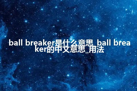 ball breaker是什么意思_ball breaker的中文意思_用法