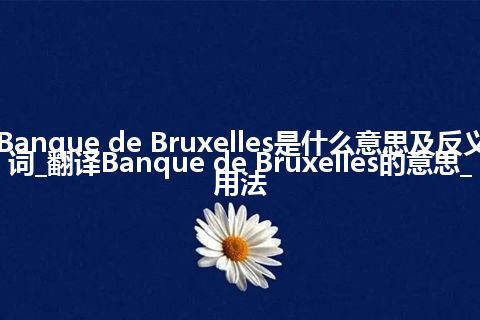 Banque de Bruxelles是什么意思及反义词_翻译Banque de Bruxelles的意思_用法