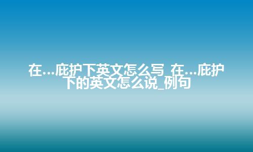 在…庇护下英文怎么写_在…庇护下的英文怎么说_例句