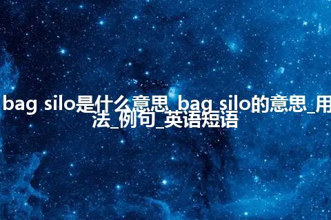 bag silo是什么意思_bag silo的意思_用法_例句_英语短语