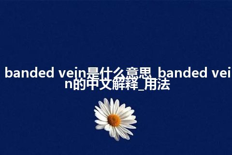 banded vein是什么意思_banded vein的中文解释_用法