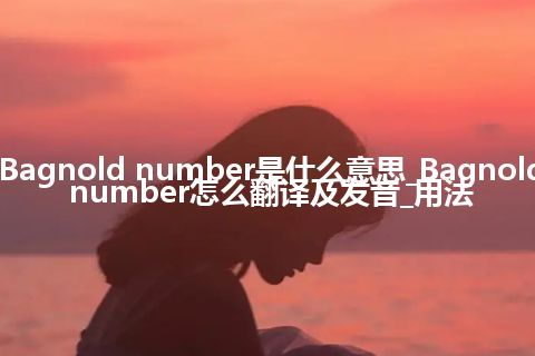 Bagnold number是什么意思_Bagnold number怎么翻译及发音_用法