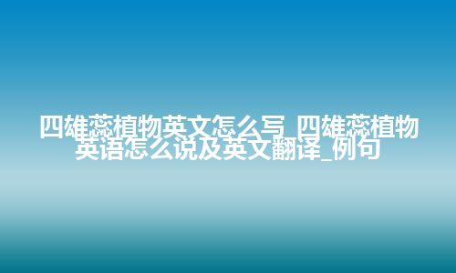 四雄蕊植物英文怎么写_四雄蕊植物英语怎么说及英文翻译_例句