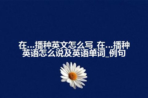 在…播种英文怎么写_在…播种英语怎么说及英语单词_例句