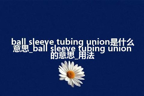 ball sleeve tubing union是什么意思_ball sleeve tubing union的意思_用法