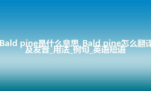 Bald pine是什么意思_Bald pine怎么翻译及发音_用法_例句_英语短语