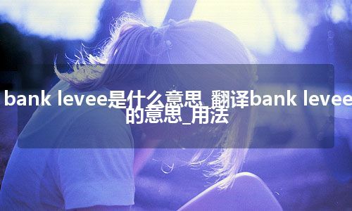 bank levee是什么意思_翻译bank levee的意思_用法