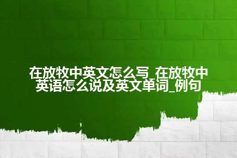 在放牧中英文怎么写_在放牧中英语怎么说及英文单词_例句