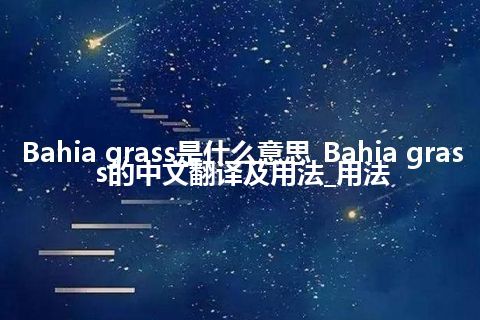 Bahia grass是什么意思_Bahia grass的中文翻译及用法_用法