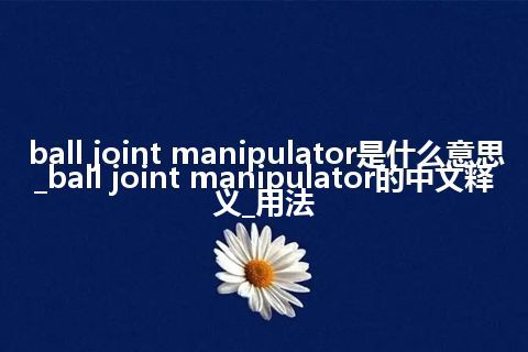 ball joint manipulator是什么意思_ball joint manipulator的中文释义_用法