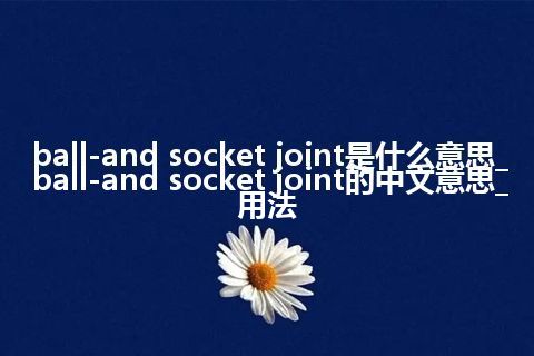 ball-and socket joint是什么意思_ball-and socket joint的中文意思_用法