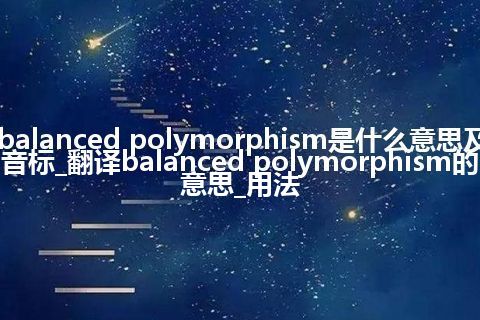 balanced polymorphism是什么意思及音标_翻译balanced polymorphism的意思_用法