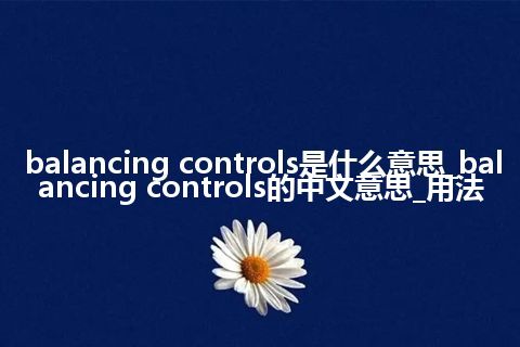 balancing controls是什么意思_balancing controls的中文意思_用法