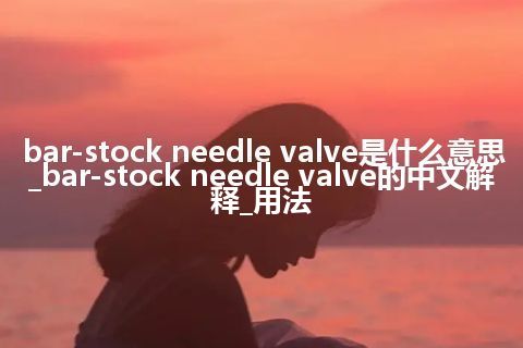 bar-stock needle valve是什么意思_bar-stock needle valve的中文解释_用法