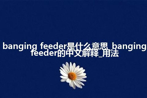 banging feeder是什么意思_banging feeder的中文解释_用法