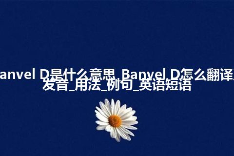 Banvel D是什么意思_Banvel D怎么翻译及发音_用法_例句_英语短语