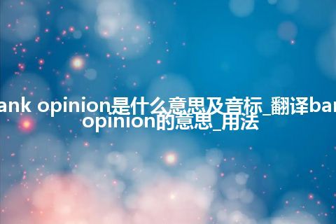 bank opinion是什么意思及音标_翻译bank opinion的意思_用法