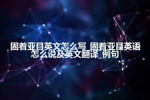 固着亚目英文怎么写_固着亚目英语怎么说及英文翻译_例句