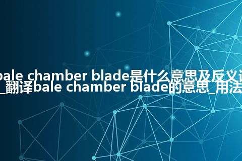 bale chamber blade是什么意思及反义词_翻译bale chamber blade的意思_用法