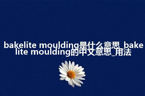 bakelite moulding是什么意思_bakelite moulding的中文意思_用法