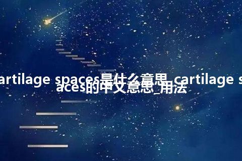 cartilage spaces是什么意思_cartilage spaces的中文意思_用法