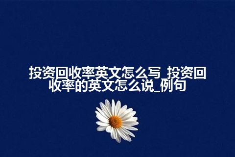 投资回收率英文怎么写_投资回收率的英文怎么说_例句