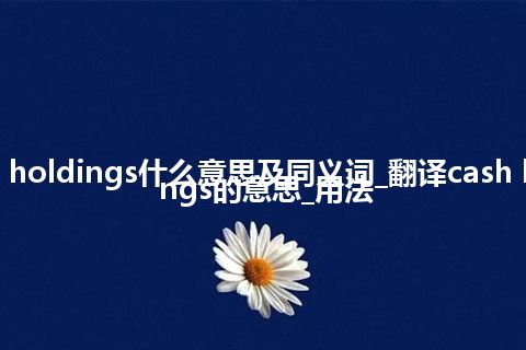 cash holdings什么意思及同义词_翻译cash holdings的意思_用法