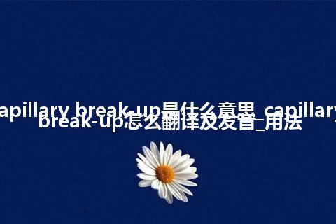 capillary break-up是什么意思_capillary break-up怎么翻译及发音_用法