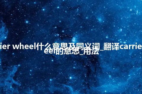 carrier wheel什么意思及同义词_翻译carrier wheel的意思_用法