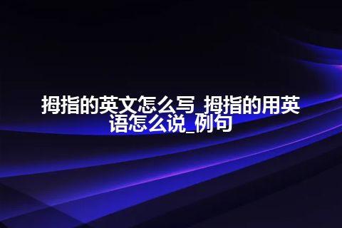 拇指的英文怎么写_拇指的用英语怎么说_例句