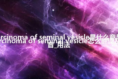 carcinoma of seminal vesicle是什么意思_carcinoma of seminal vesicle怎么翻译及发音_用法