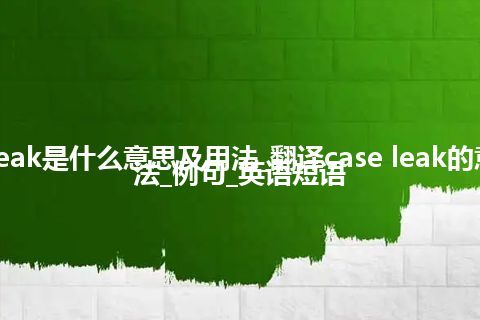 case leak是什么意思及用法_翻译case leak的意思_用法_例句_英语短语