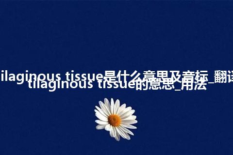 cartilaginous tissue是什么意思及音标_翻译cartilaginous tissue的意思_用法