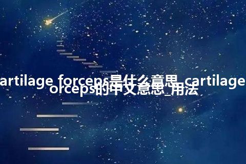 cartilage forceps是什么意思_cartilage forceps的中文意思_用法