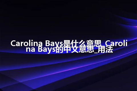 Carolina Bays是什么意思_Carolina Bays的中文意思_用法