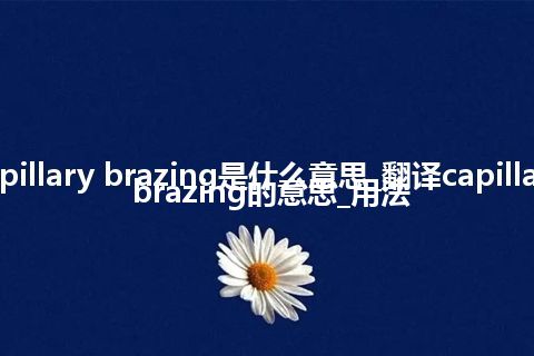 capillary brazing是什么意思_翻译capillary brazing的意思_用法