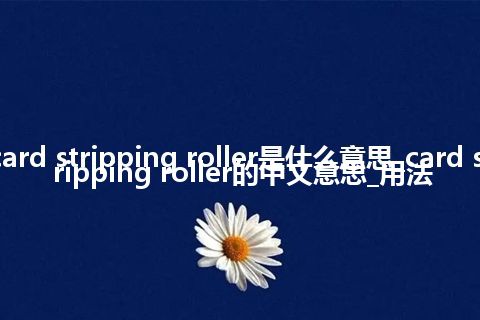 card stripping roller是什么意思_card stripping roller的中文意思_用法