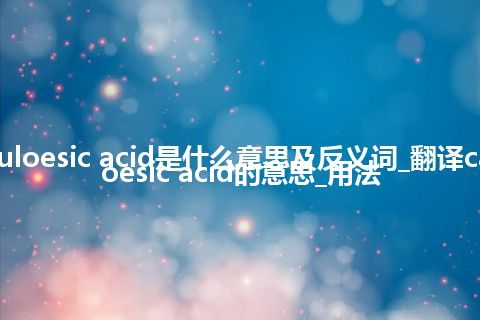 capsuloesic acid是什么意思及反义词_翻译capsuloesic acid的意思_用法